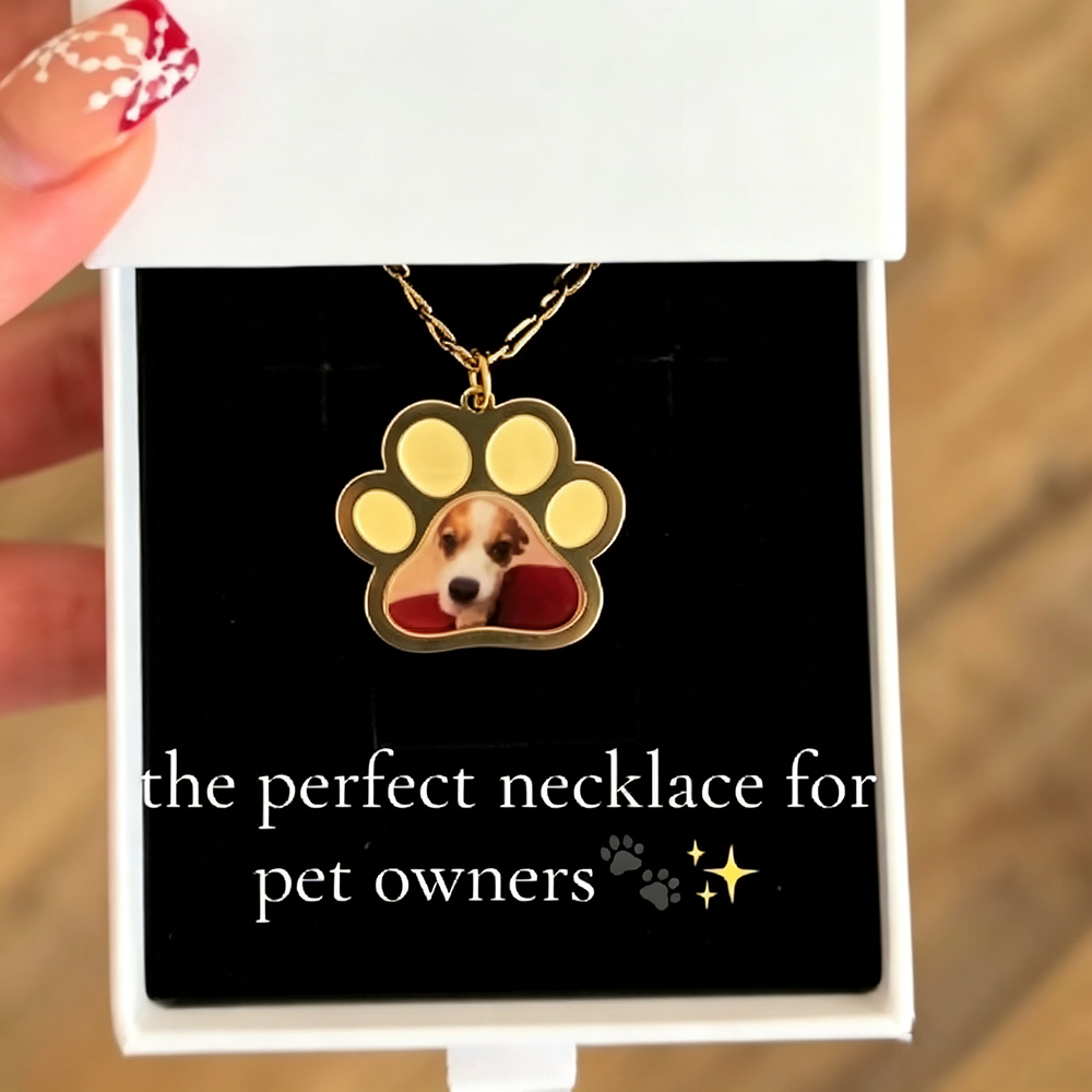 Kişiselleştirilmiş Pet Paw Ren - Custom Name Necklace Stainless Steel incelemesi ve fiyatı
